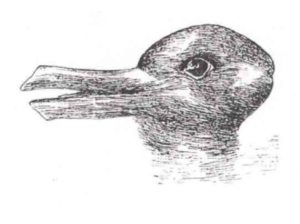 Drawing that resembles both a duck and a rabbit