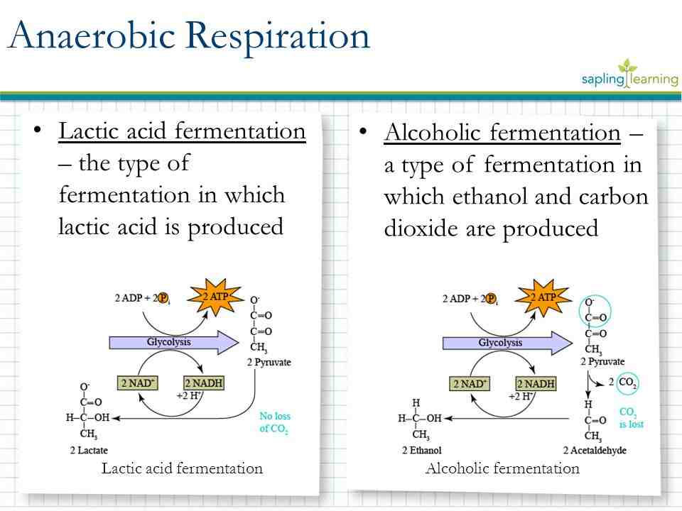 What is fermentation in aerobic respiration?